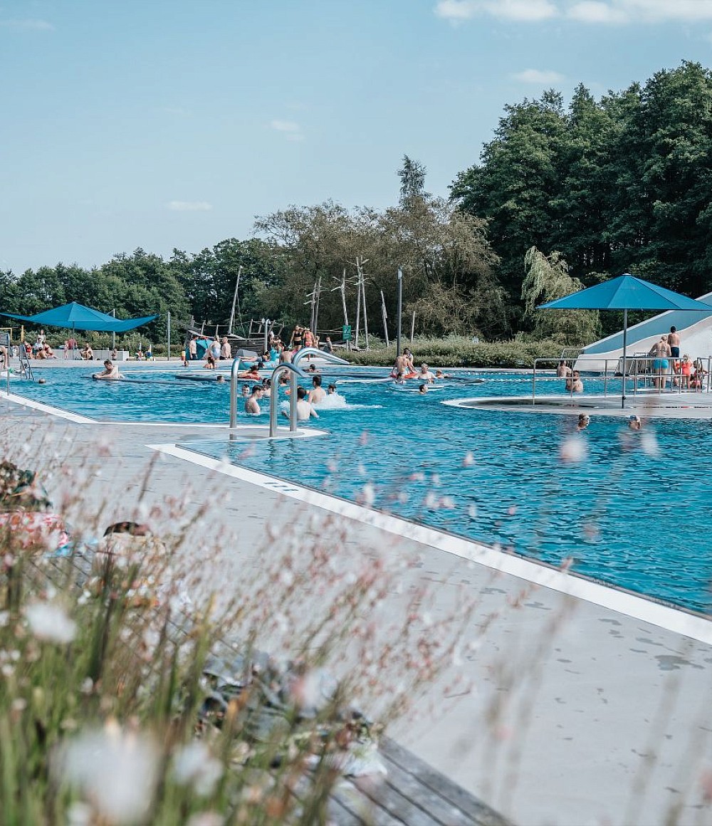 <span>Tree Concept</span> Testimonial