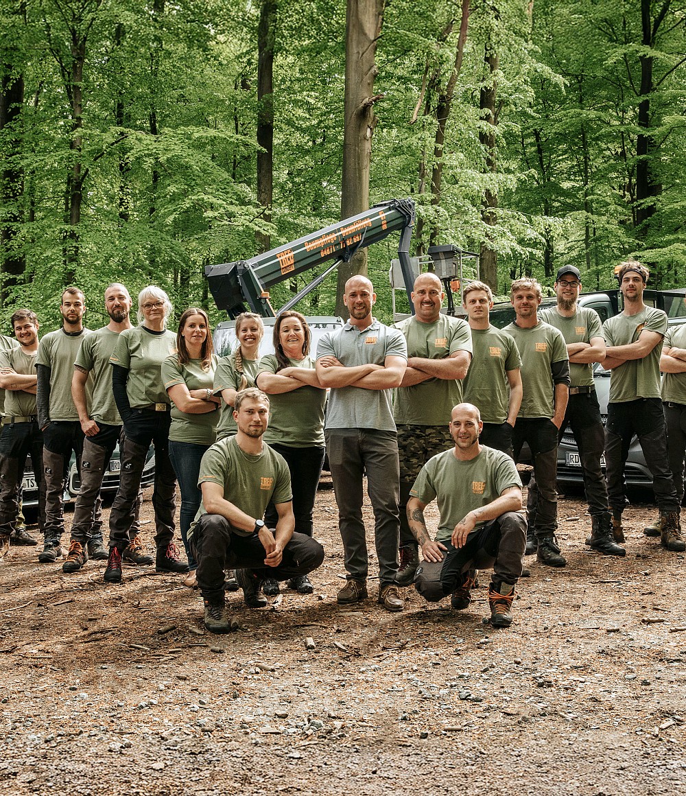 <span>Tree Concept</span> Testimonial